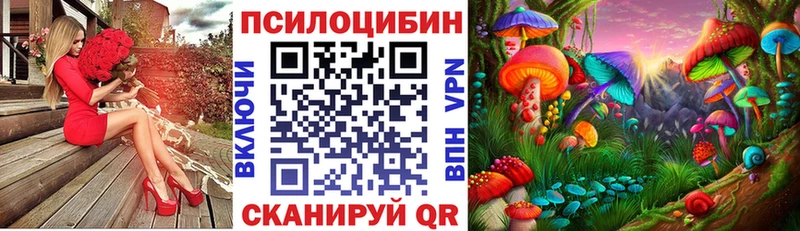 Галлюциногенные грибы Psilocybe  Лагань 