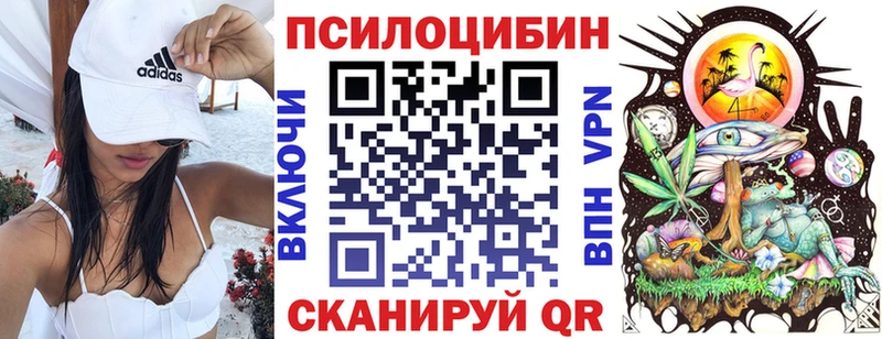 Галлюциногенные грибы Psilocybine cubensis Лагань